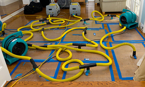 Professional Crawl Space Water Removal technician working in Lyburn, WV